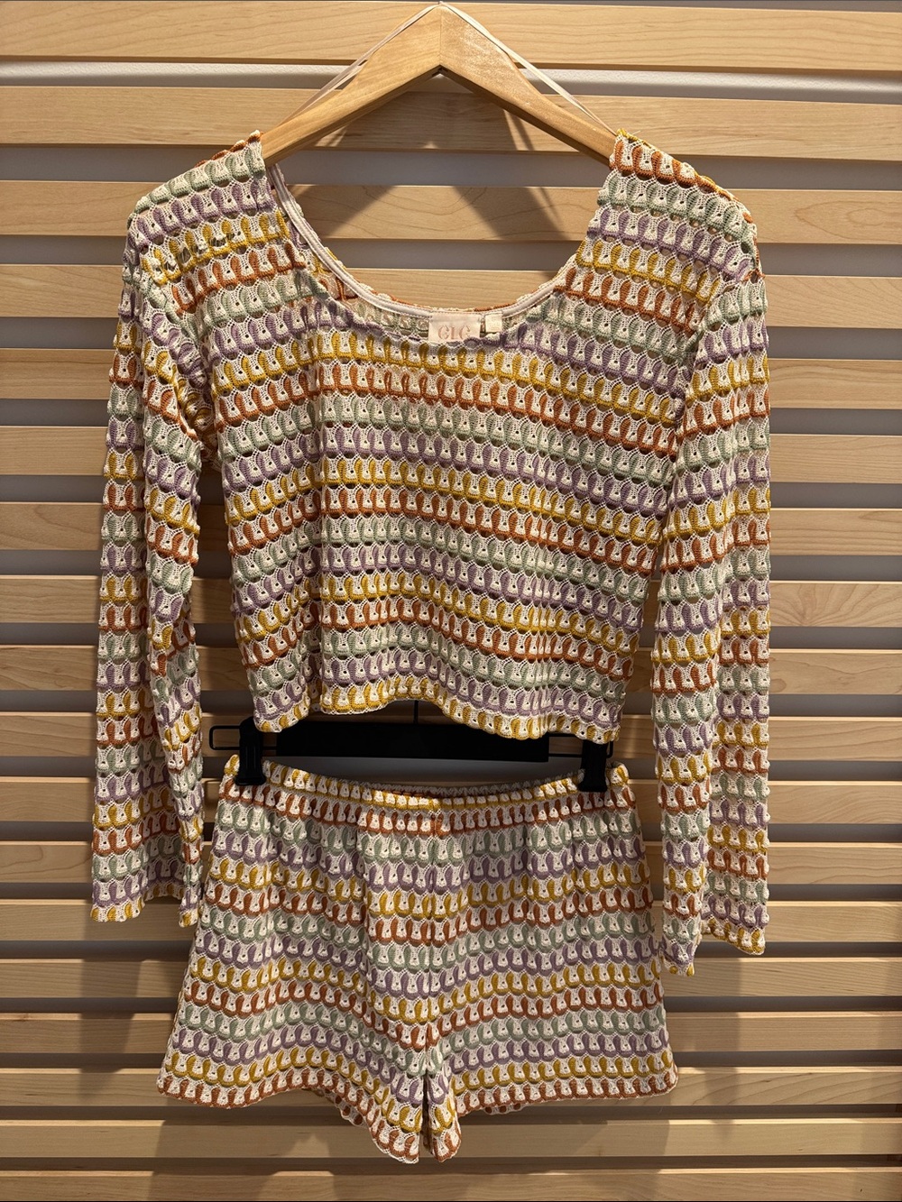 Crochet-Style Multicolor Long Sleeve Crop Top and Matching Shorts